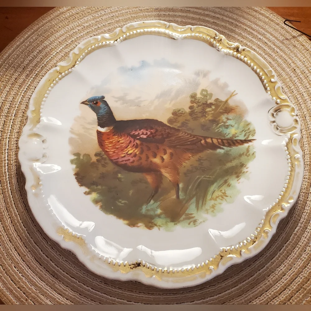 Bavarian Vintage Decorative plate , early 1900s - Picture 1 of 12